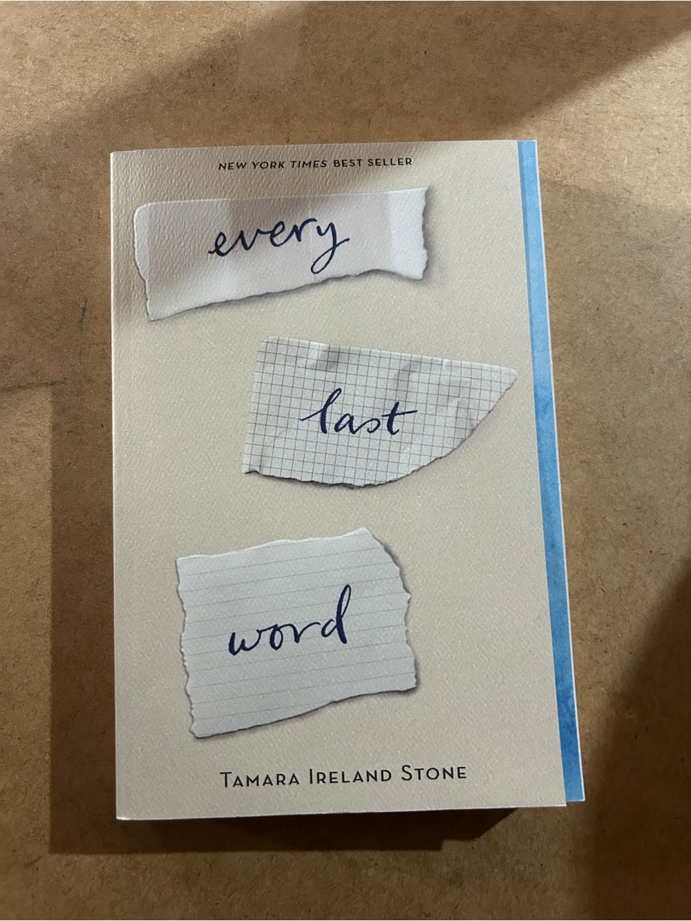 Every Last Word by Tamara Ireland Stone (YA)